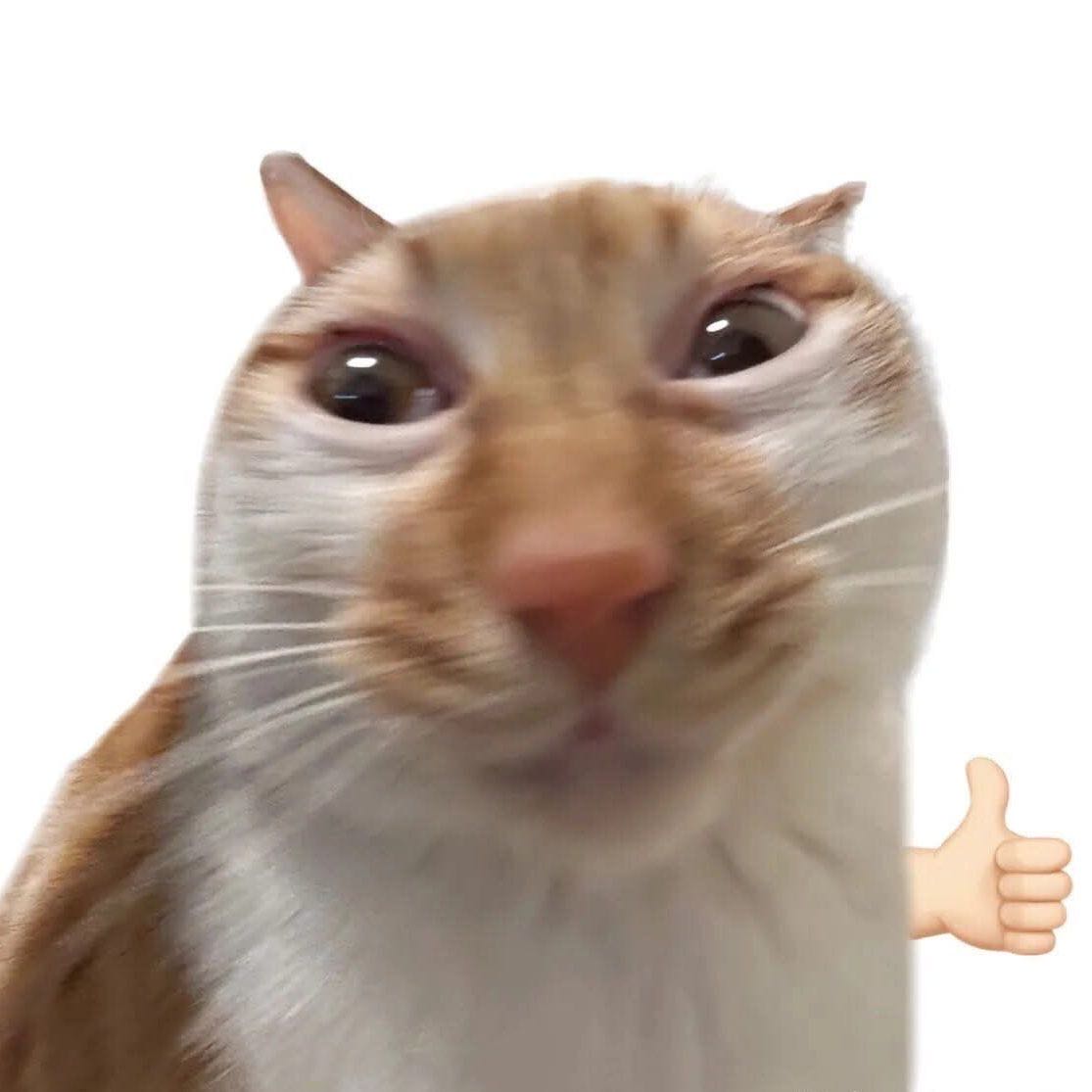 trizum.afk on One Bite Pizza App