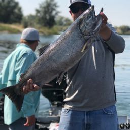 mathew.bowman on One Bite Pizza App