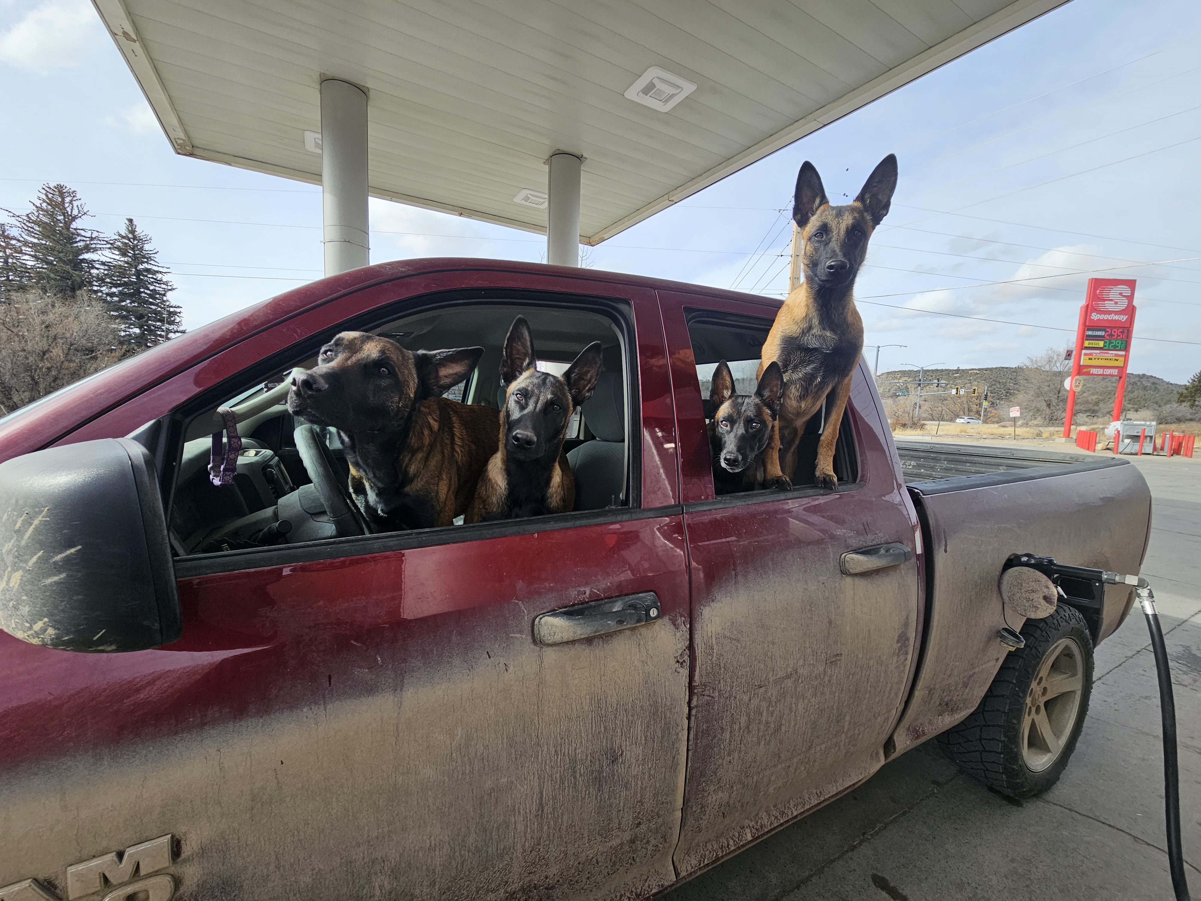 austin.tyler3 on One Bite Pizza App