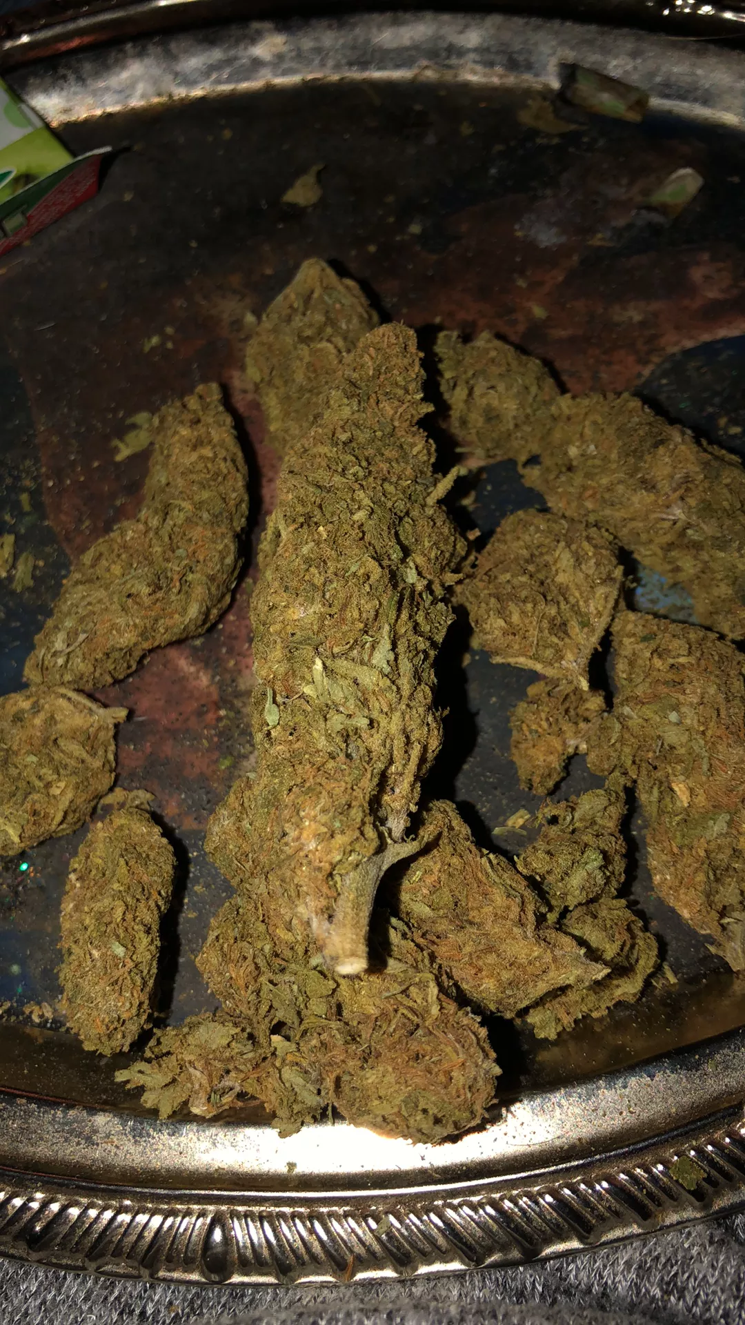 ginja-ninja on One Bite Pizza App