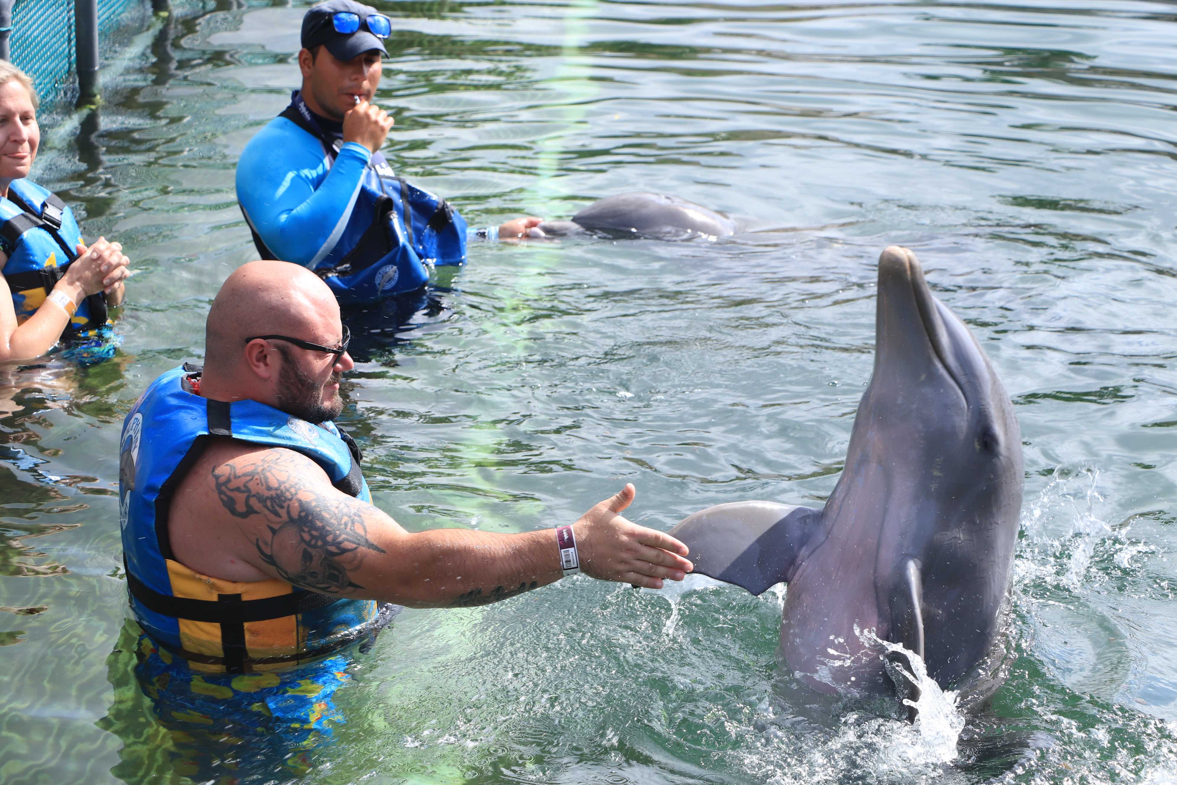 rob.wohanka on One Bite Pizza App