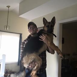 cody.call on One Bite Pizza App