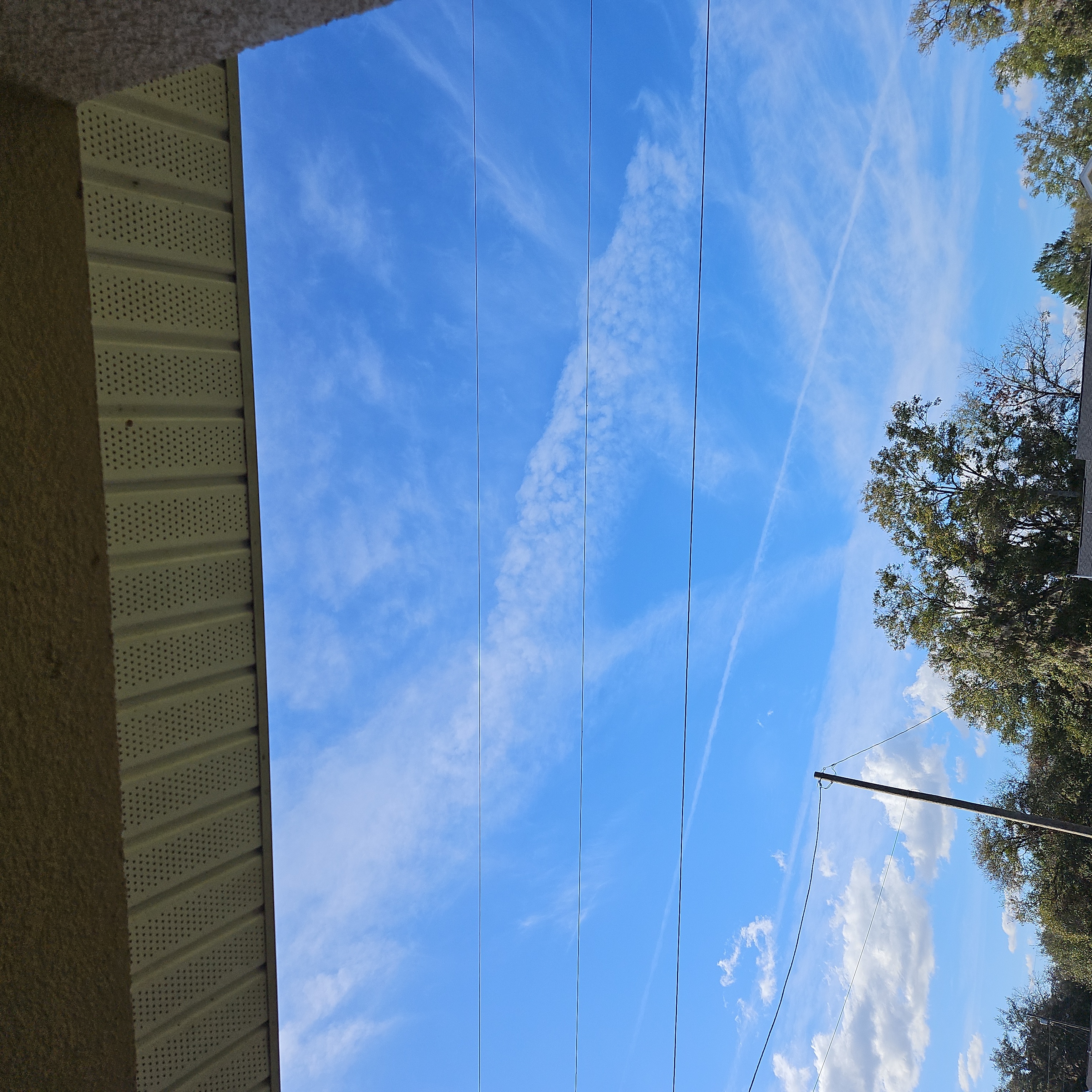 cyclingguy_87 on One Bite Pizza App