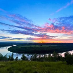 ct587 on One Bite Pizza App