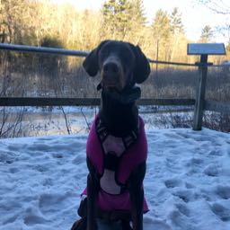 wendy.m on One Bite Pizza App