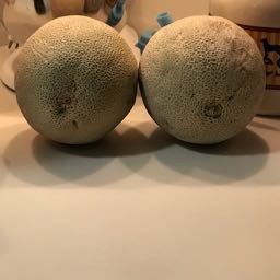 andrew.clarke2 on One Bite Pizza App