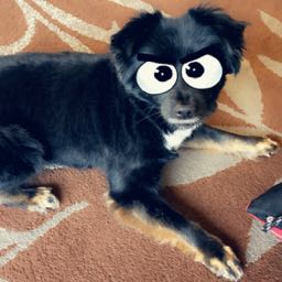 il-presidente on One Bite Pizza App