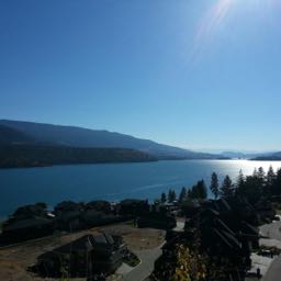 rick.johnston on One Bite Pizza App