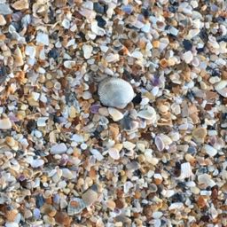 jtp on One Bite Pizza App