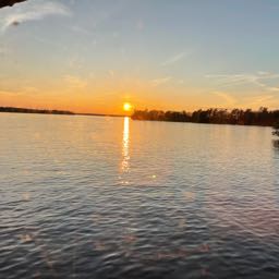 lynn.smith on One Bite Pizza App