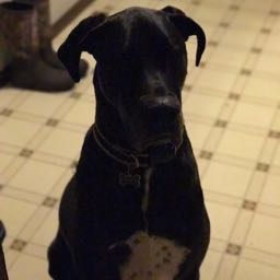 calzone on One Bite Pizza App