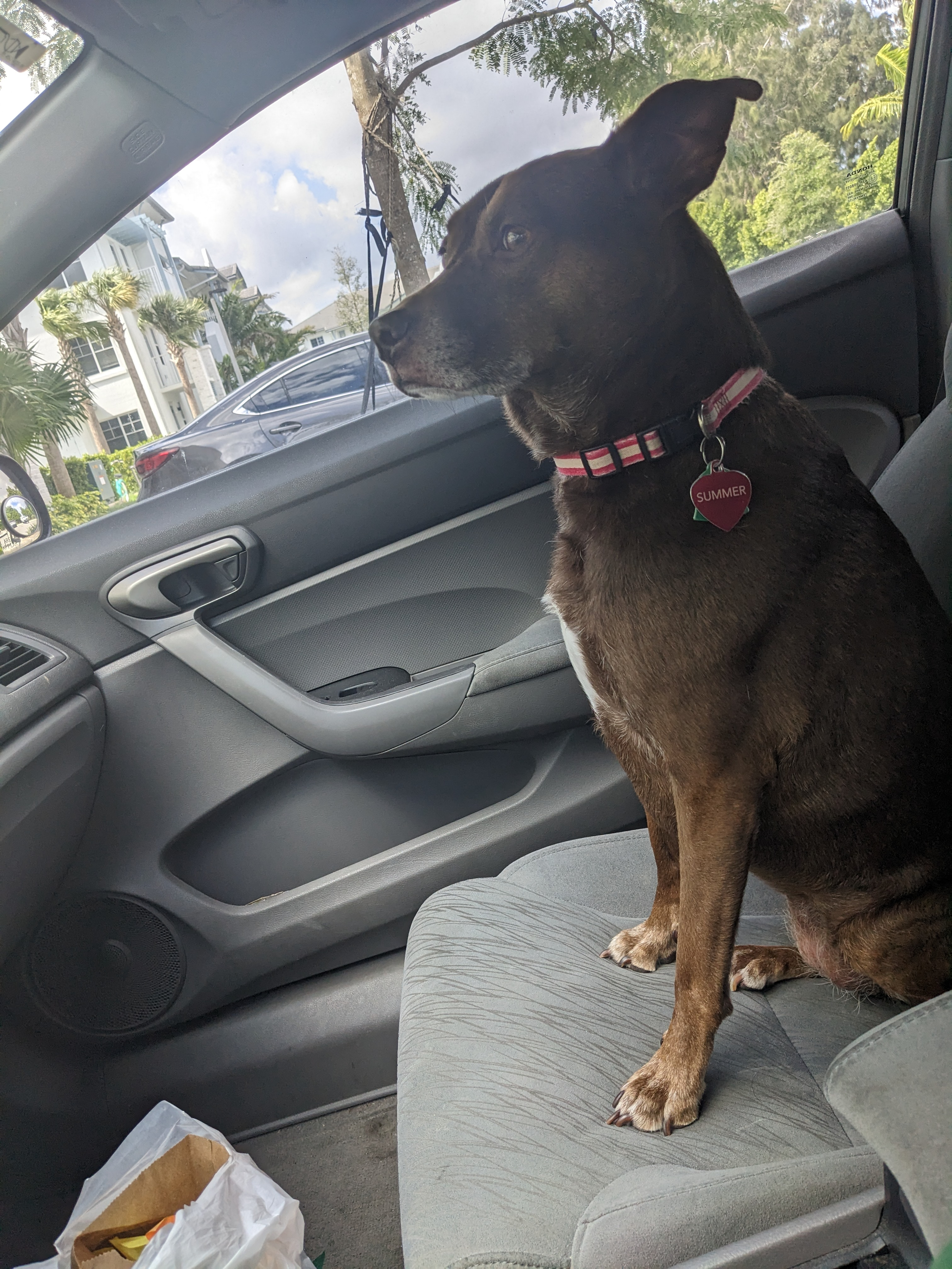 howdz on One Bite Pizza App