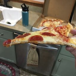 bobthegarbageman on One Bite Pizza App