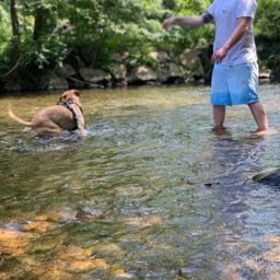 lege.dunlop on One Bite Pizza App