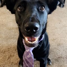 emily.garrison on One Bite Pizza App