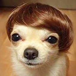 isaac_teetil on One Bite Pizza App