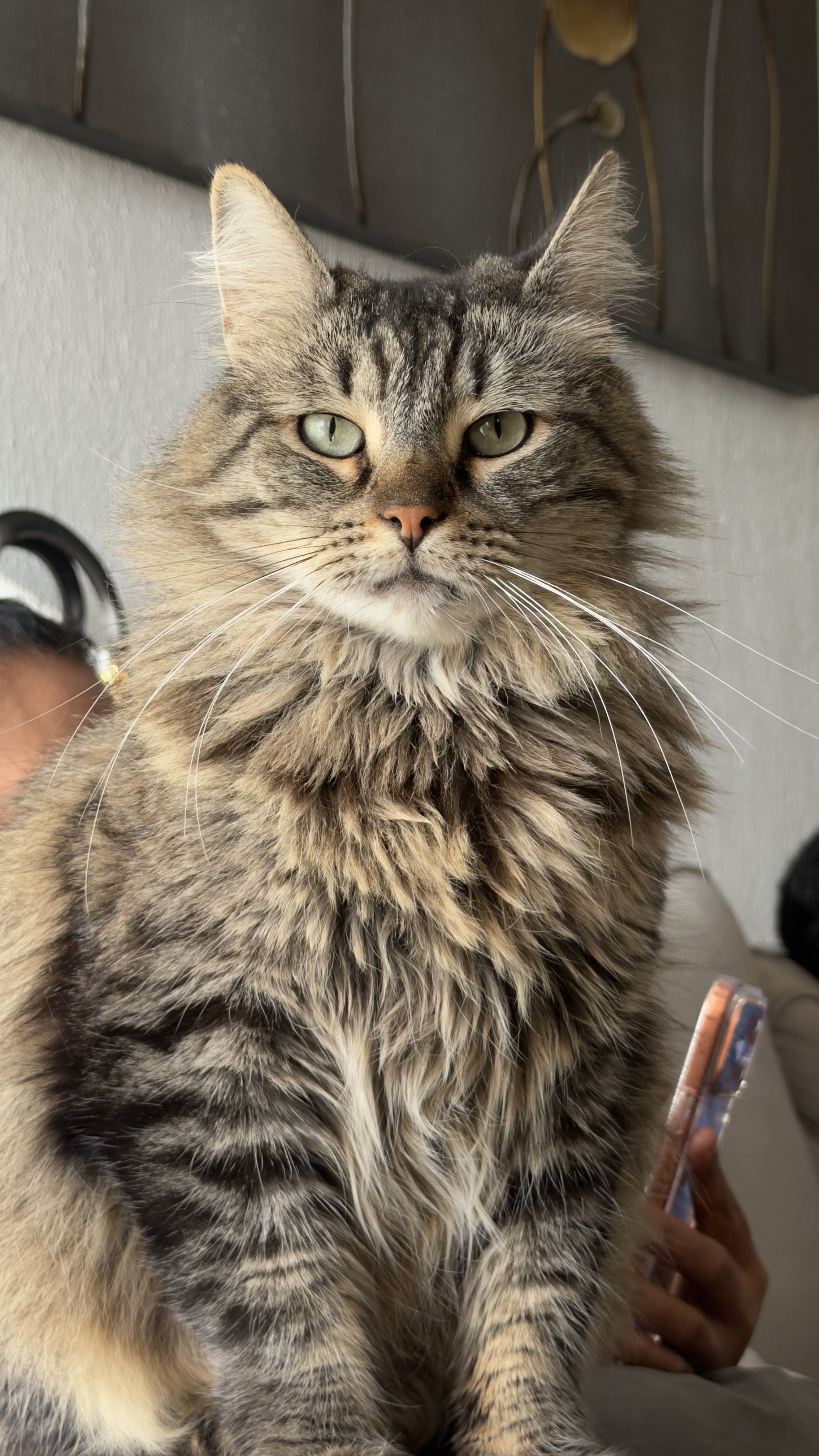 geld on One Bite Pizza App