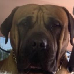 riley.mclaughlin1 on One Bite Pizza App