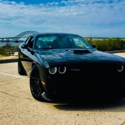 connor.coghlan on One Bite Pizza App