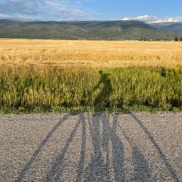 shawn_ on One Bite Pizza App