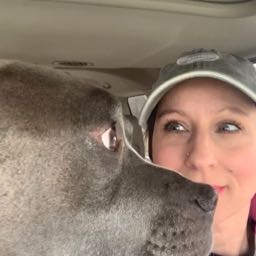 keely.frank on One Bite Pizza App