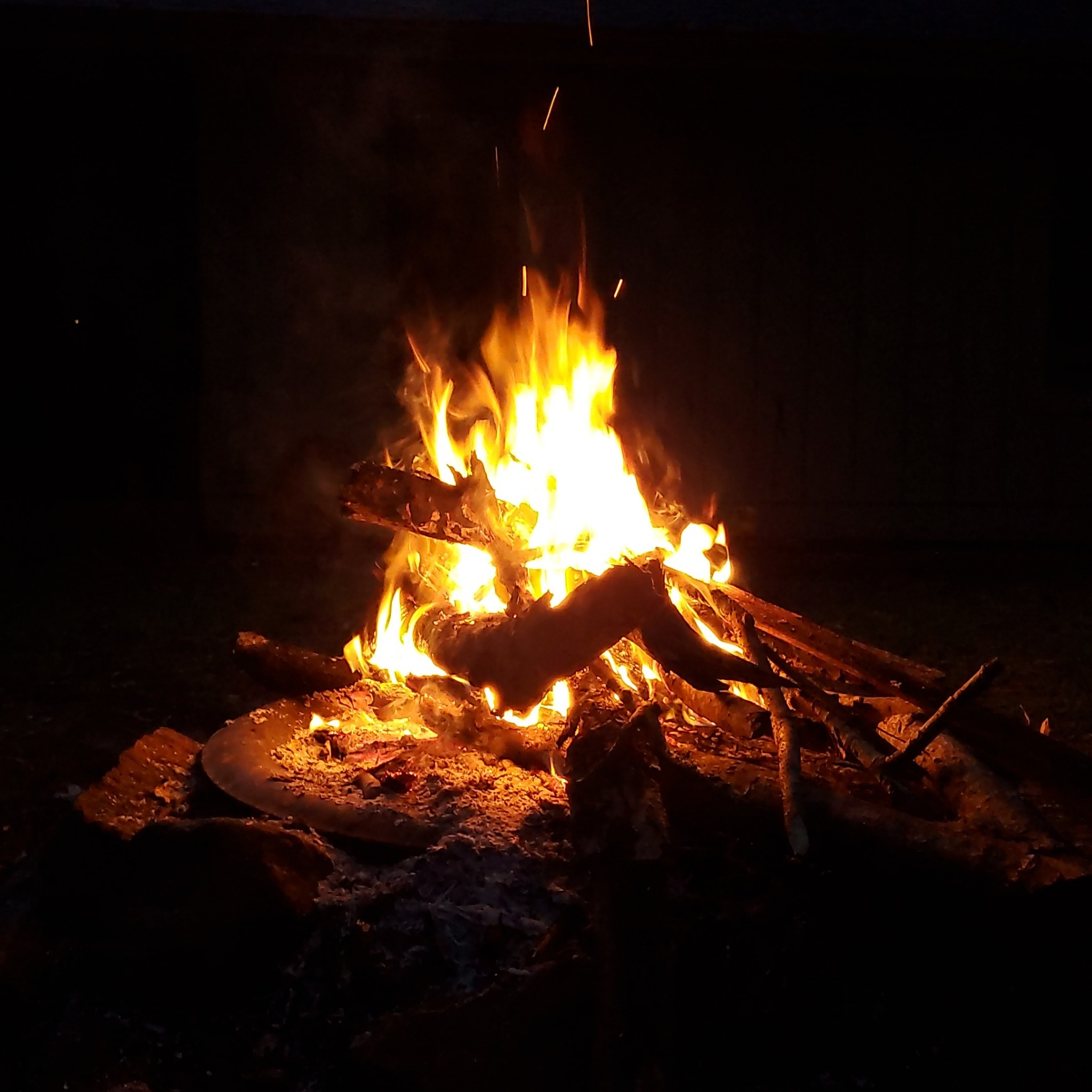 tjrplan on One Bite Pizza App