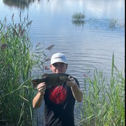 tyler.fawcett on One Bite Pizza App