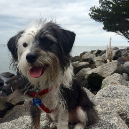 baxter.ocoughlaganiii on One Bite Pizza App