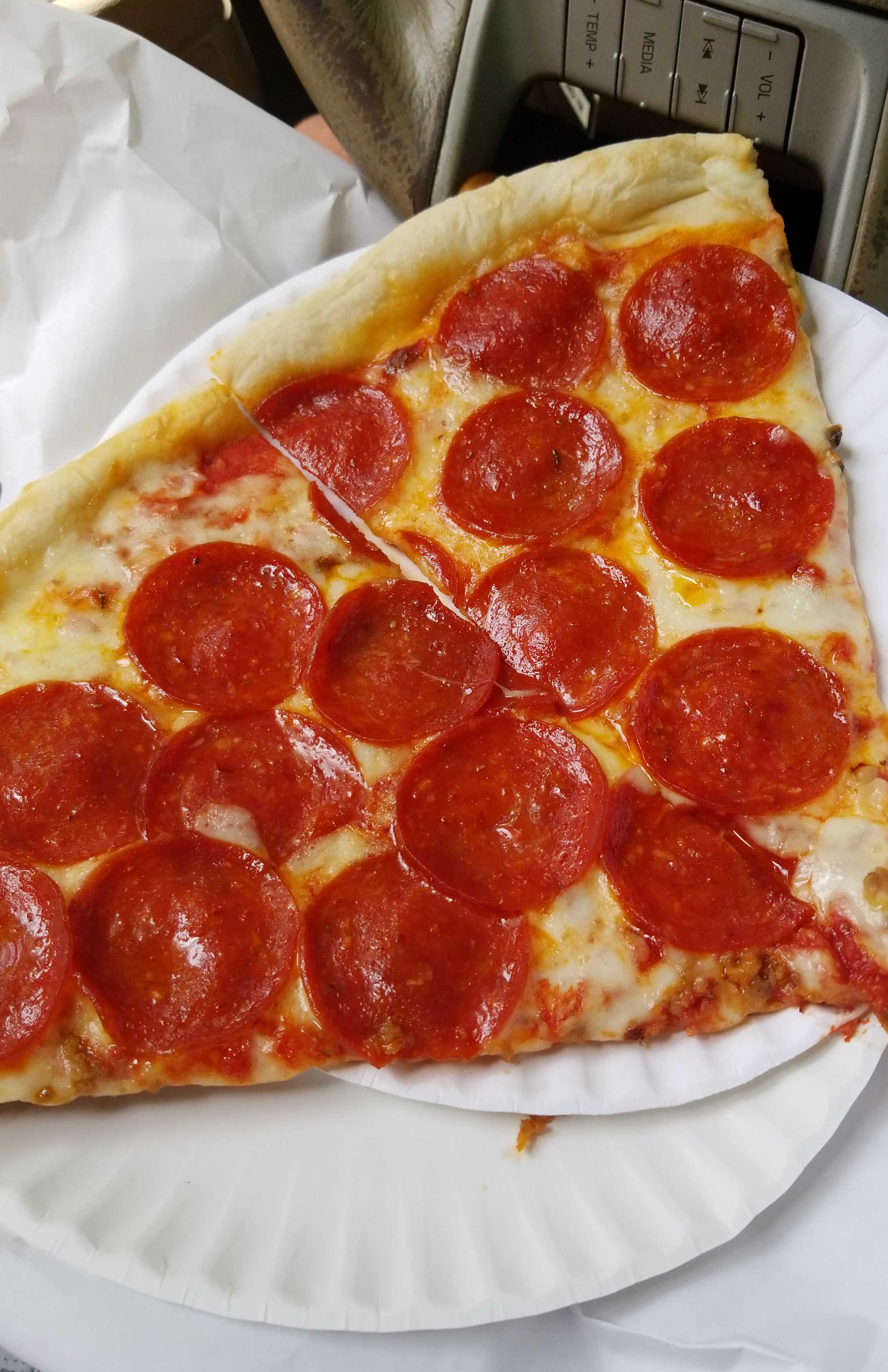 Pizza Review