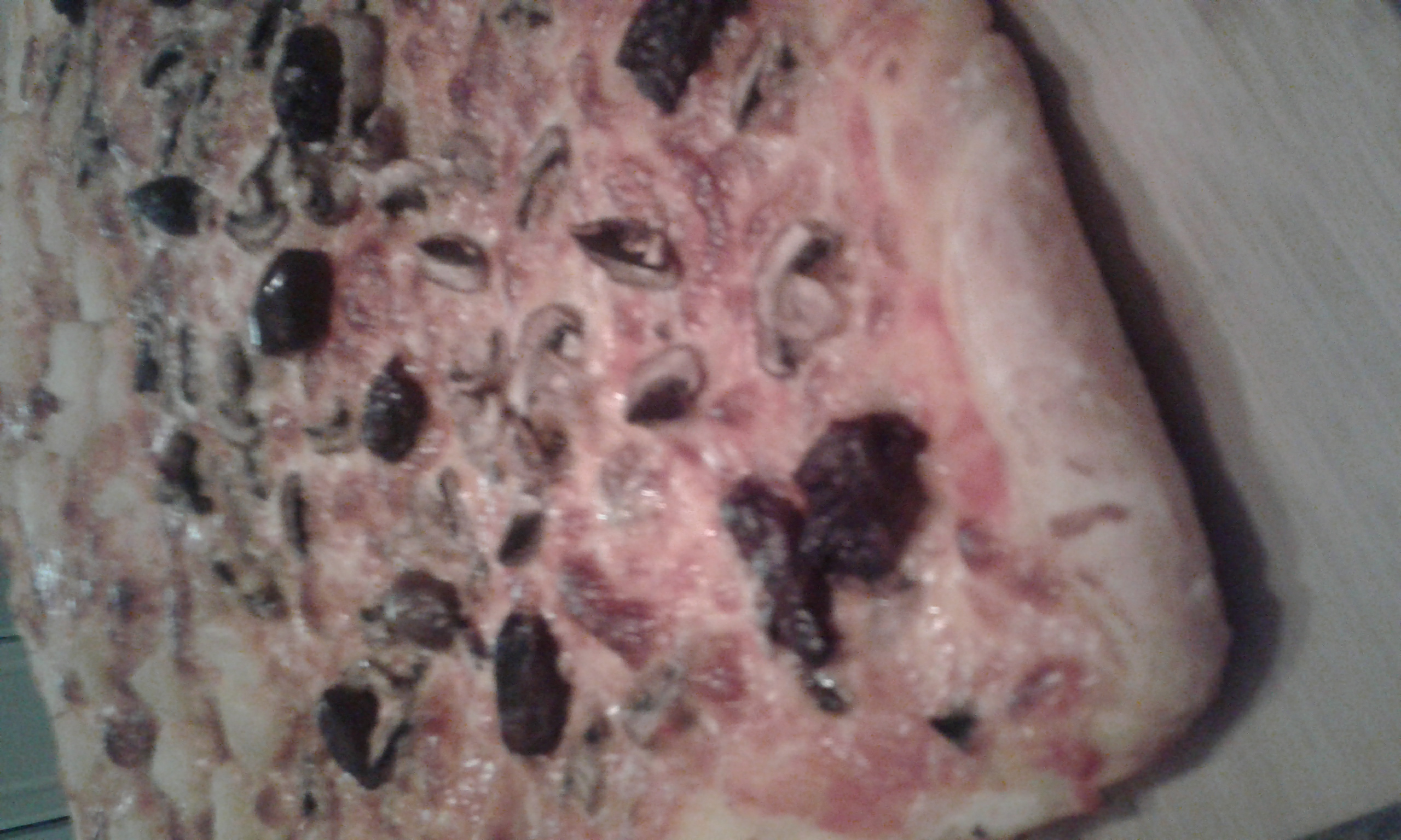 pizzagate420 on One Bite Pizza App