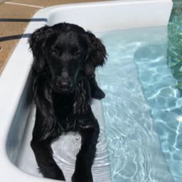 ali.carroll on One Bite Pizza App