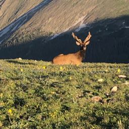 brdyc on One Bite Pizza App