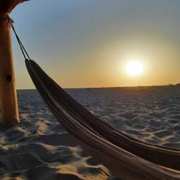 matt.rajko on One Bite Pizza App