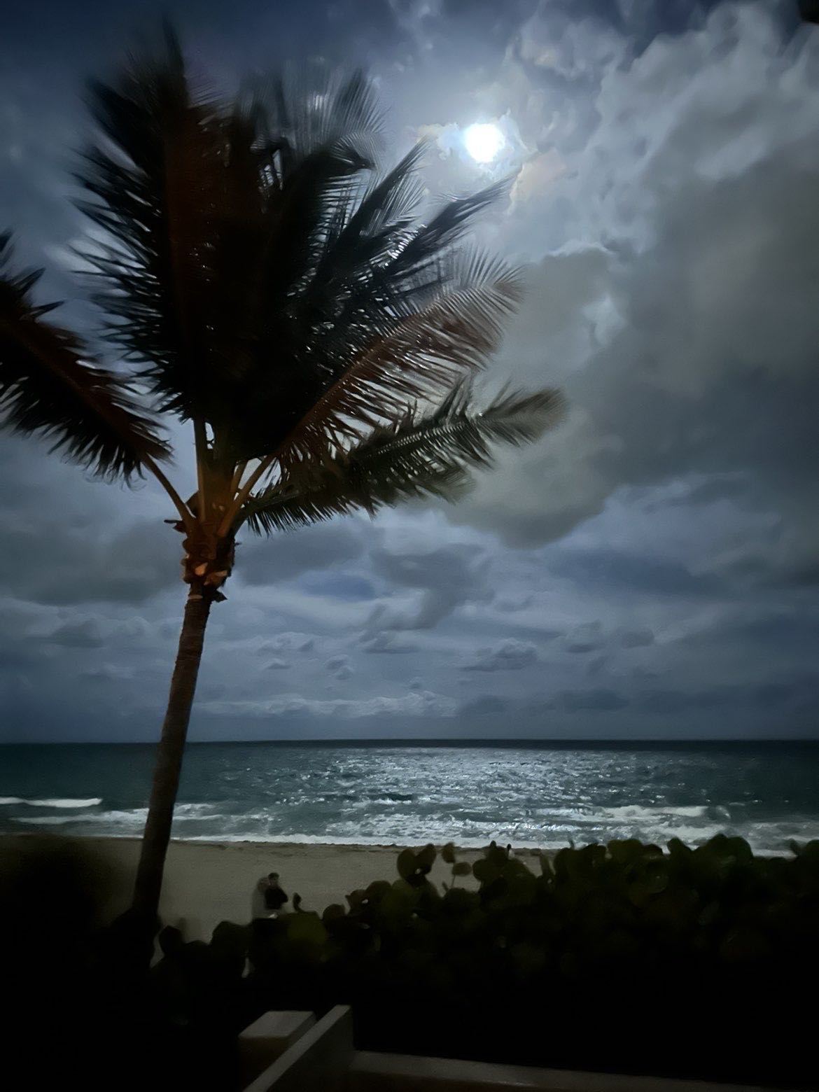 jake.vesey on One Bite Pizza App