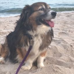 patrick.babbitt on One Bite Pizza App