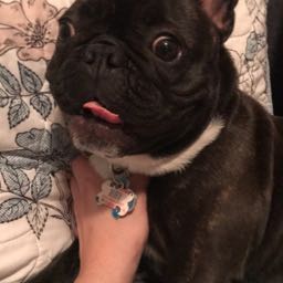 renajena on One Bite Pizza App