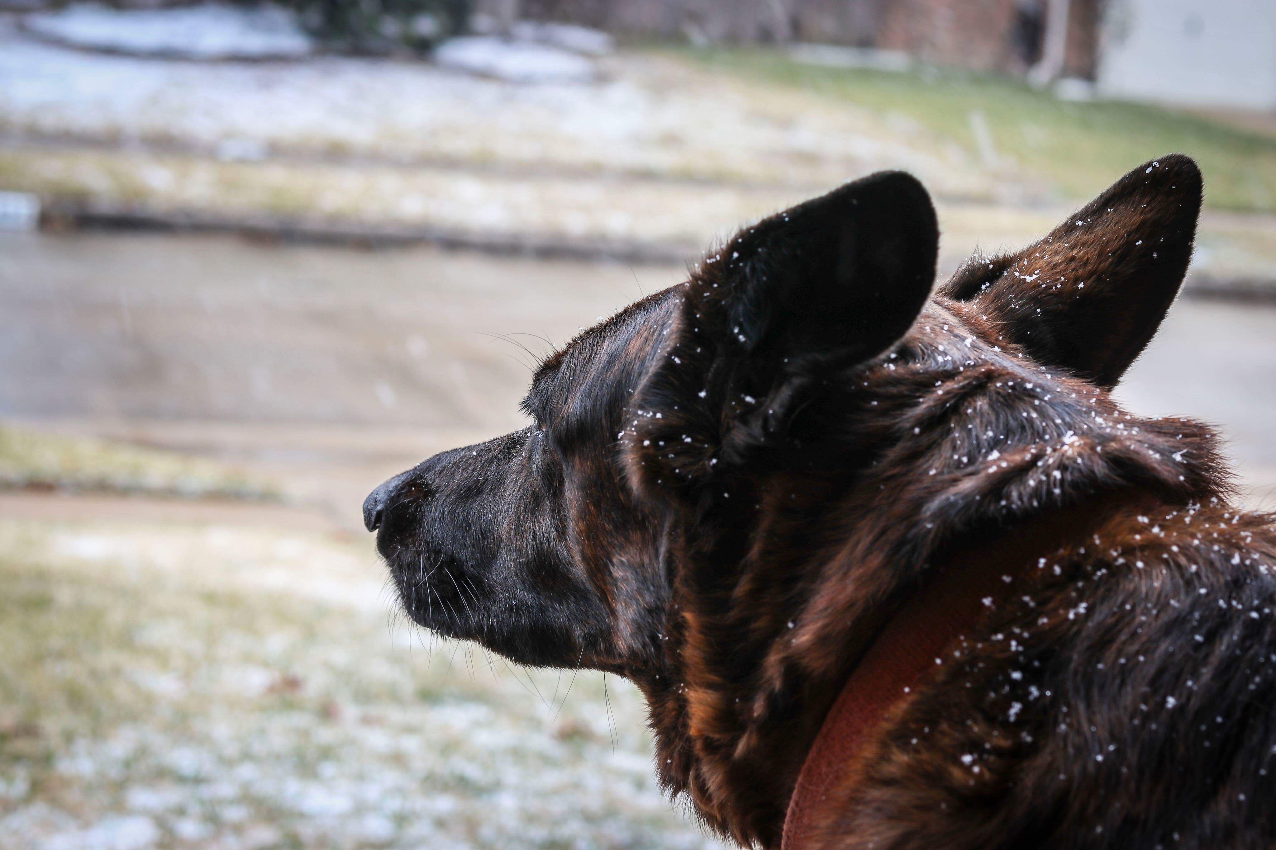 mark.hall62 on One Bite Pizza App