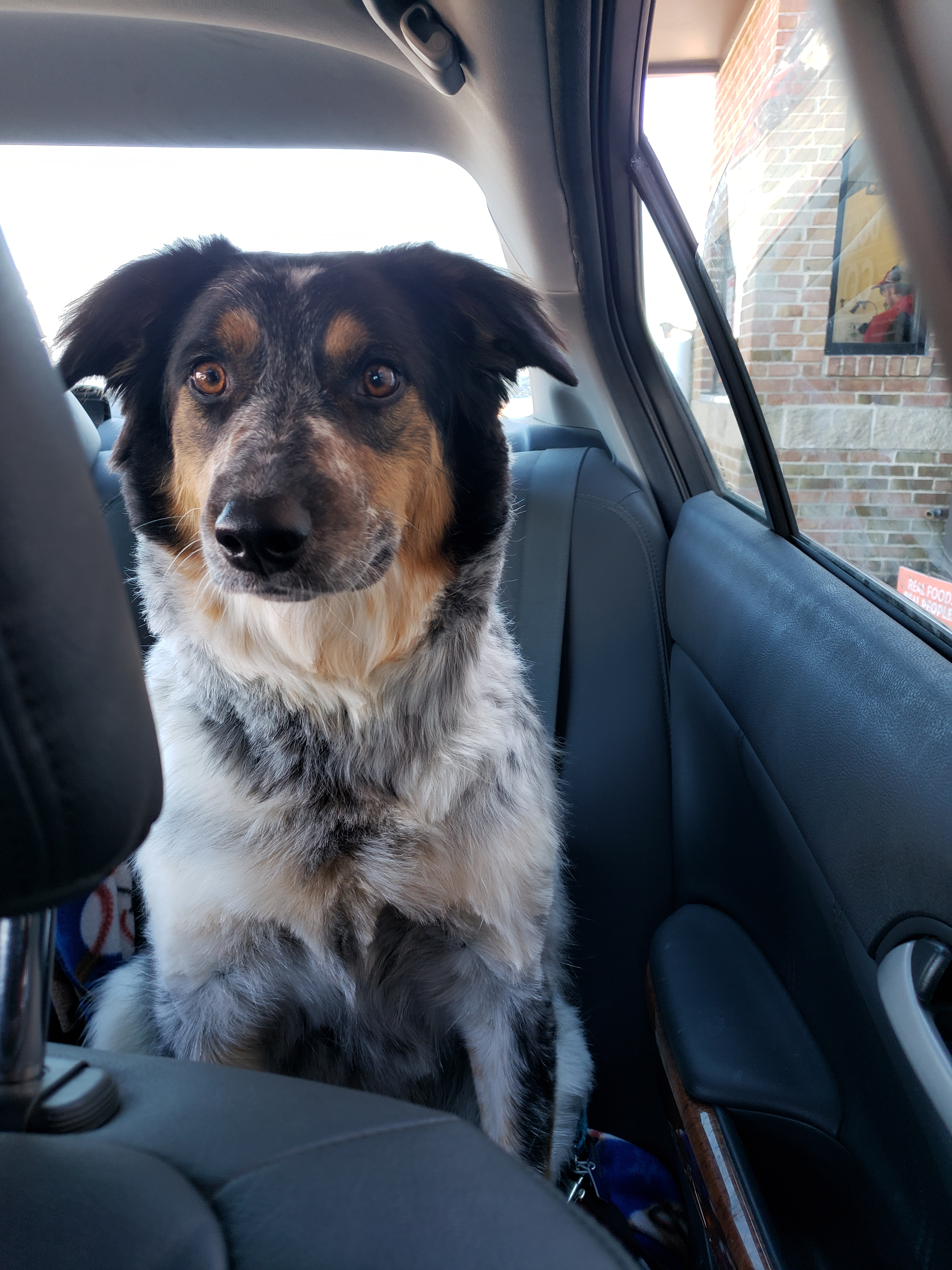 dundalk92 on One Bite Pizza App