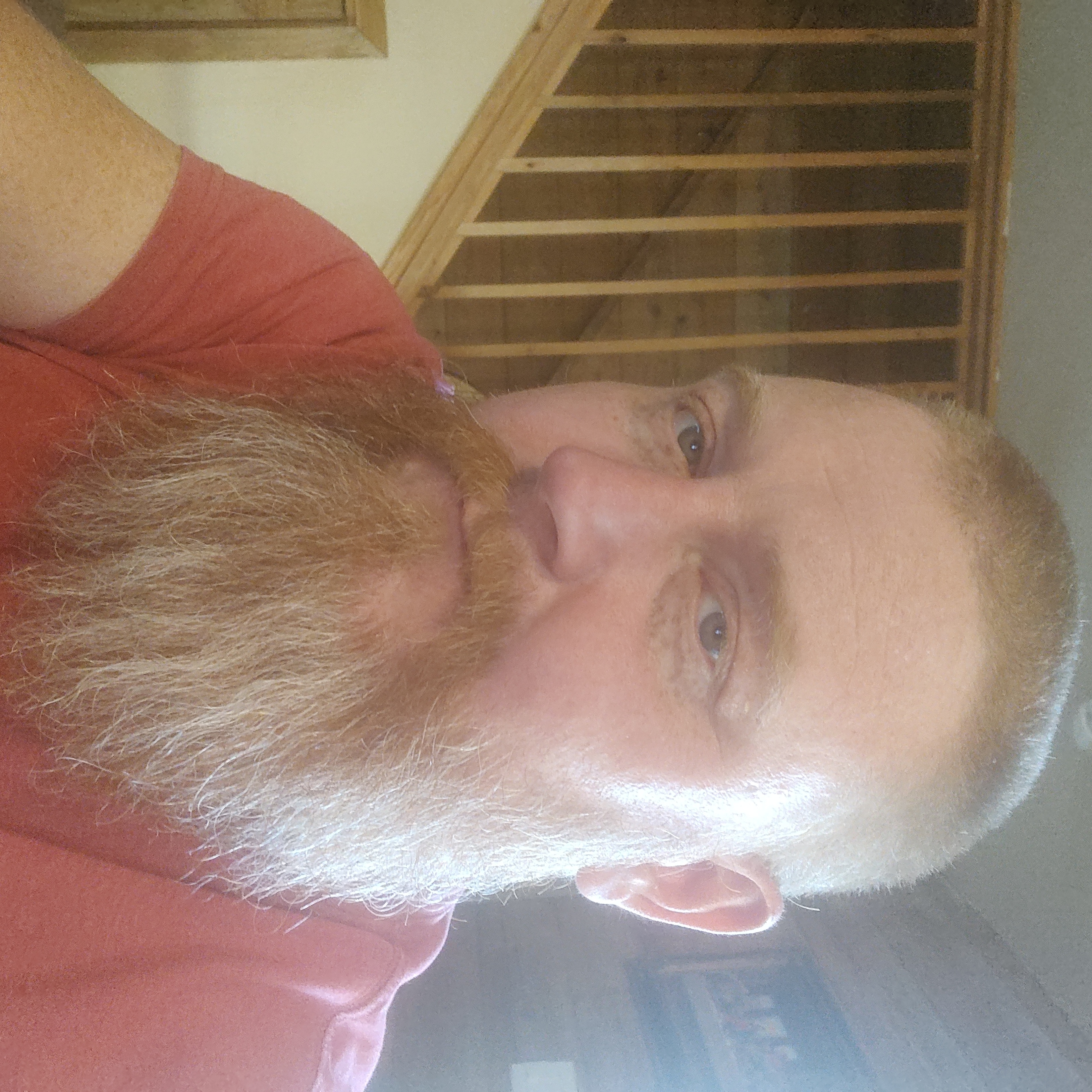 chris.smart2 on One Bite Pizza App