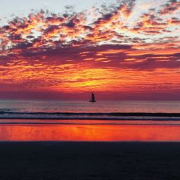 danny.allan on One Bite Pizza App