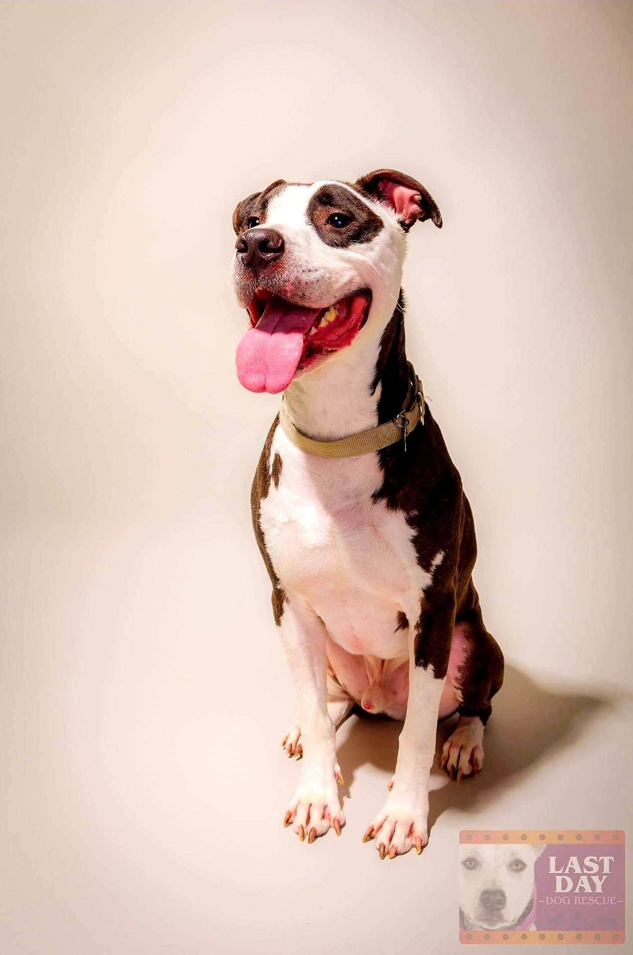 pineapplesucks on One Bite Pizza App