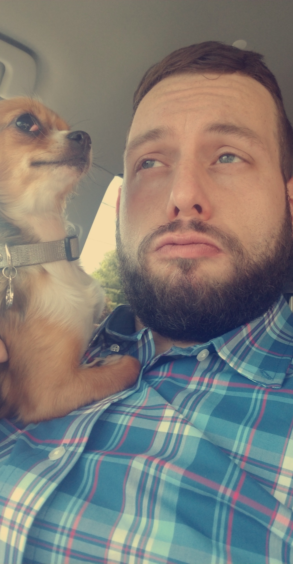 dan.hancock on One Bite Pizza App