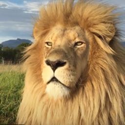 chad.brunell on One Bite Pizza App