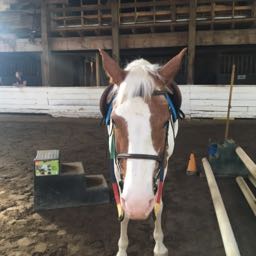 lila.bond on One Bite Pizza App