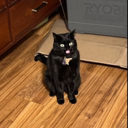 ethan.david on One Bite Pizza App