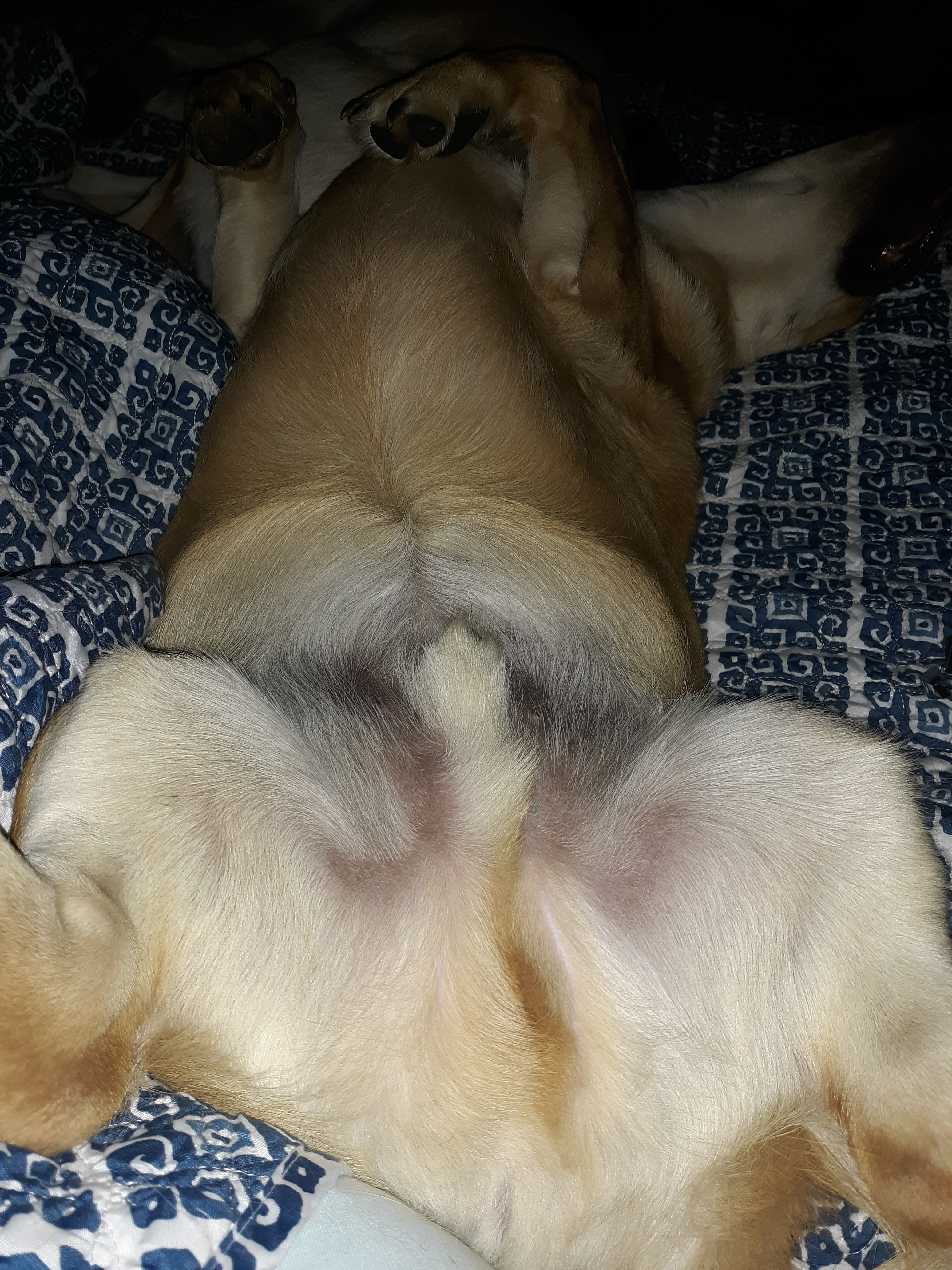 carolyn.frances on One Bite Pizza App