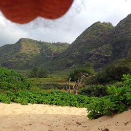 pizza_scaper on One Bite Pizza App