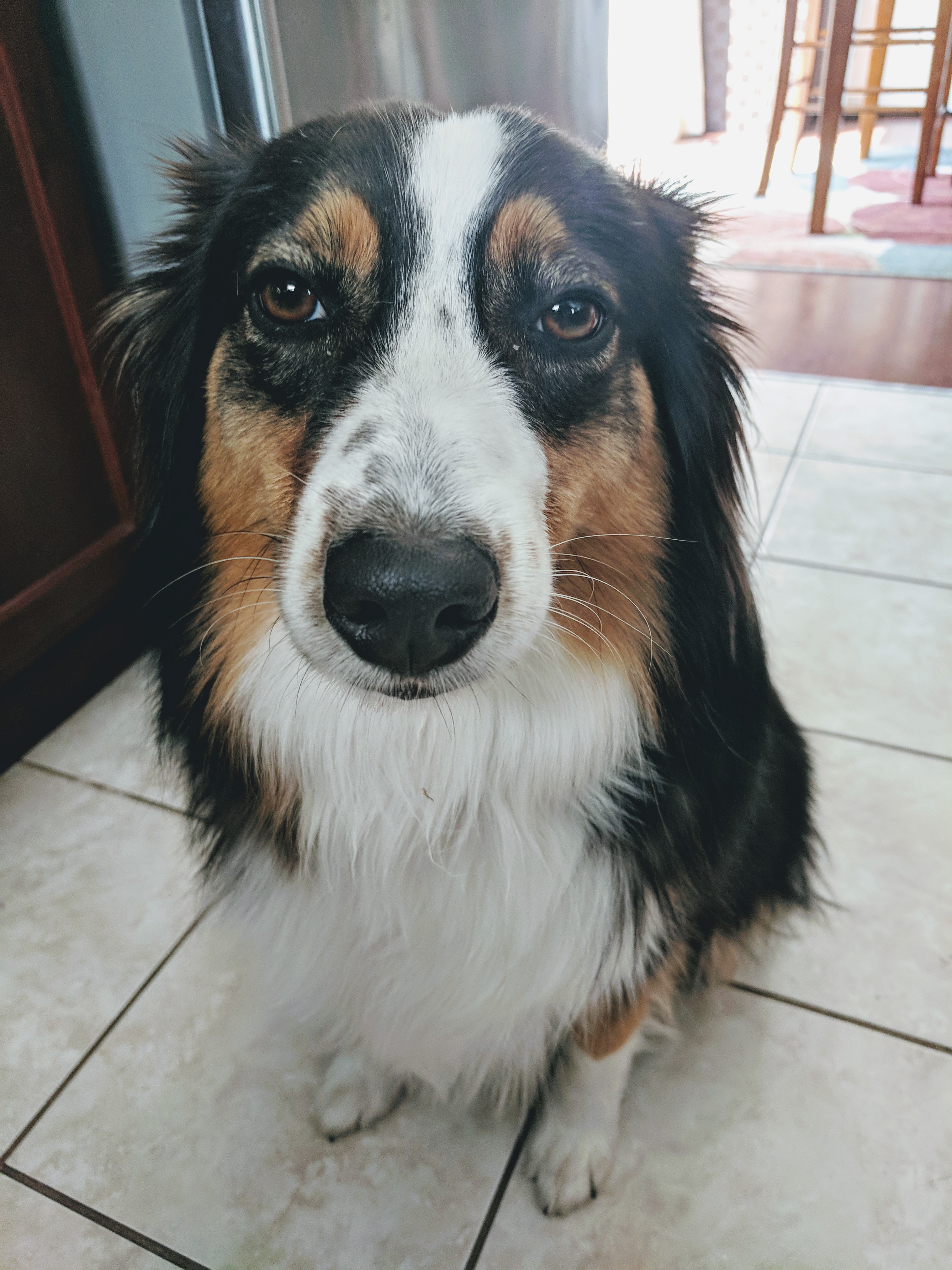 jaypro19 on One Bite Pizza App