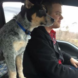 shill910 on One Bite Pizza App