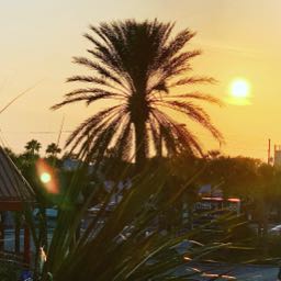 isaac.d1 on One Bite Pizza App